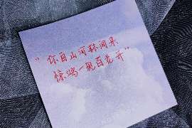 娄烦婚姻调查：无效或者被撤销的婚姻的法律后果